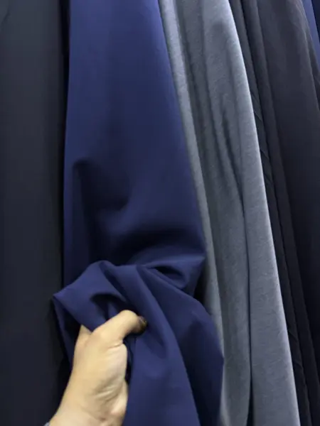 تي ار نيلي
